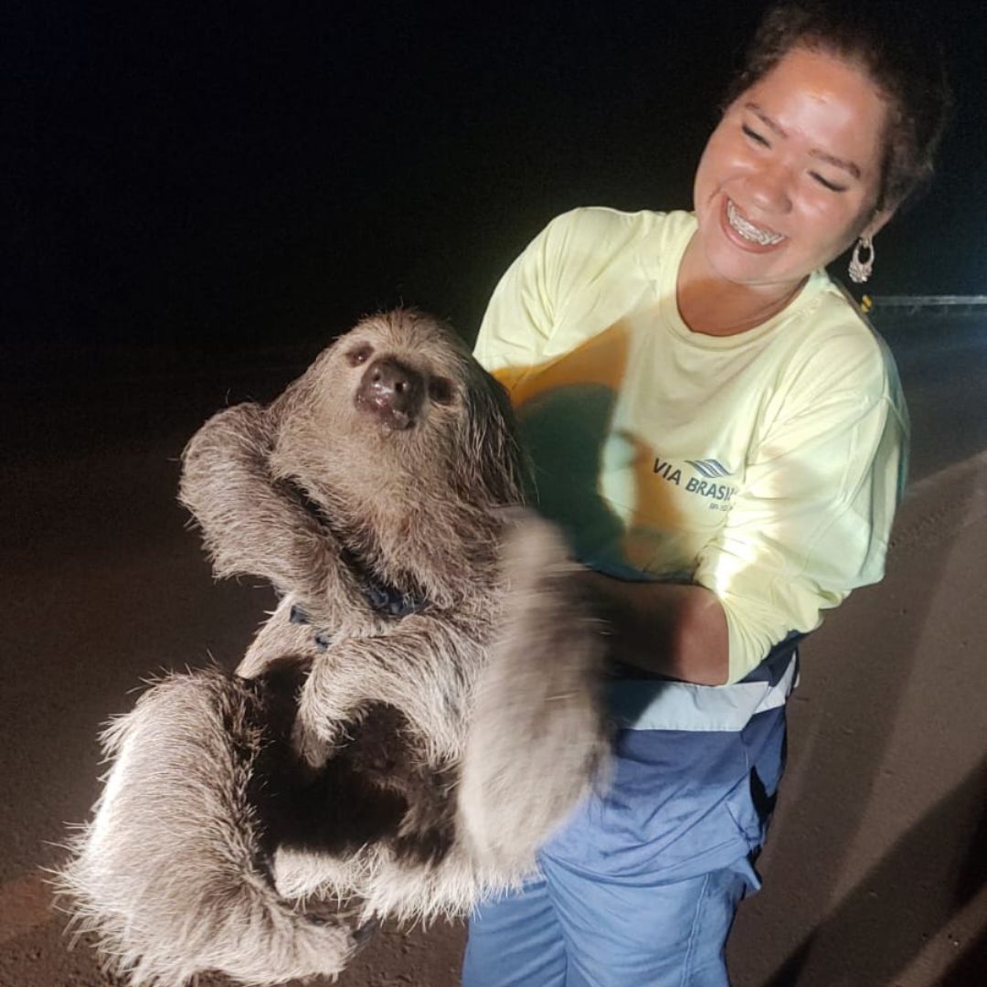 Programas de Proteção à Fauna